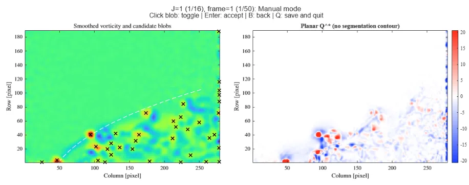 Labelling tool screen with a smoothed vorticity map marked with crosses and a planar Q map.